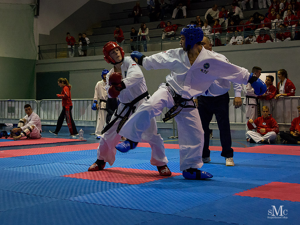 COPA SEUL, 2017  (192).JPG